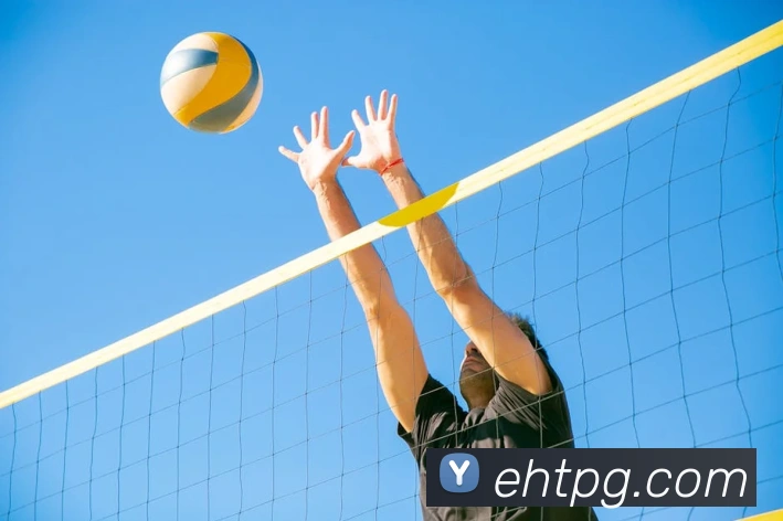 App Interface Preview